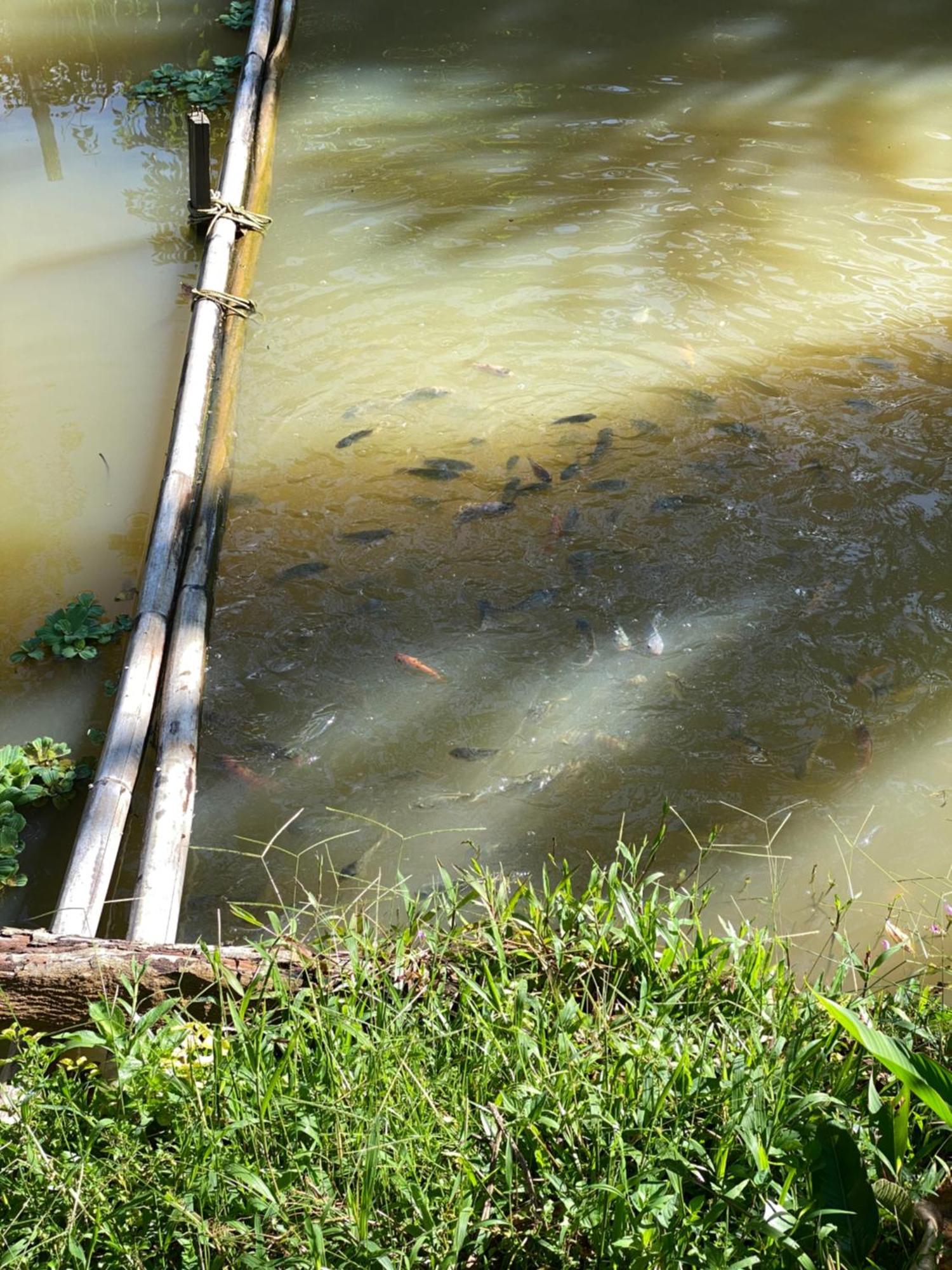 Hotel Da Family Mini Garden Ranau Zewnętrze zdjęcie