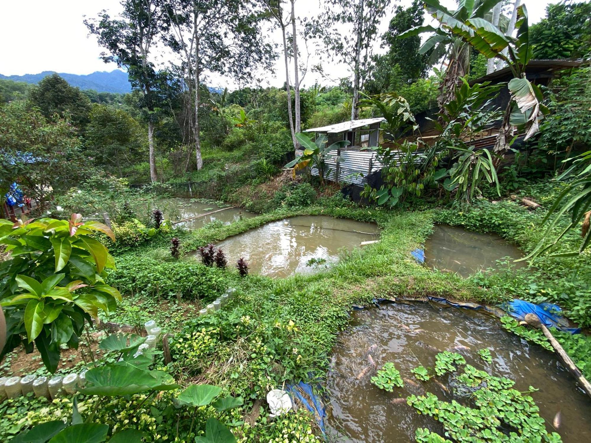 Hotel Da Family Mini Garden Ranau Zewnętrze zdjęcie